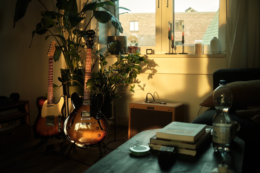 Photo guitar books