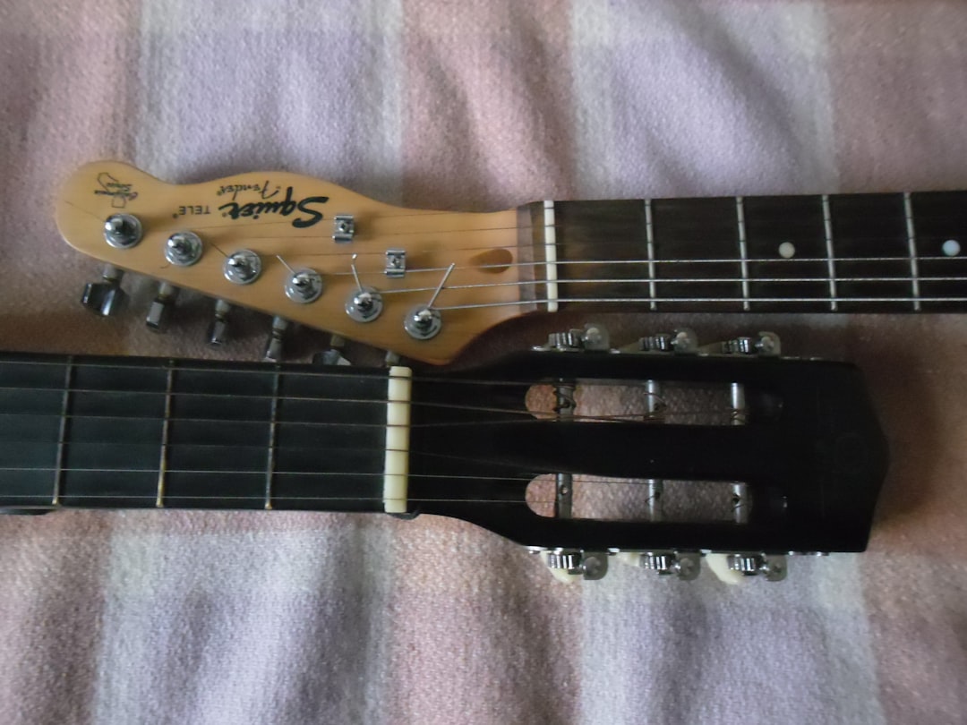 Photo Guitar fretboard