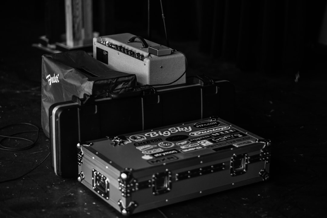 Photo Guitar case